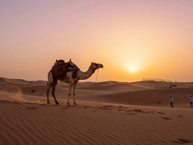 What Is the Best Month to Go to Dubai? Weather, Crowds, and Deals Revealed