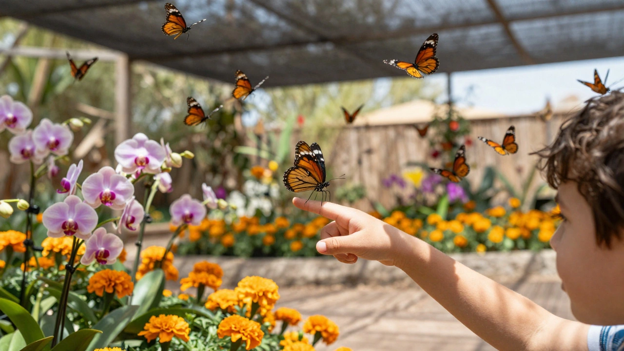A child gently holding a butterfly on their finger amidst a sea of colorful flowers in the Dubai Butterfly Garden.