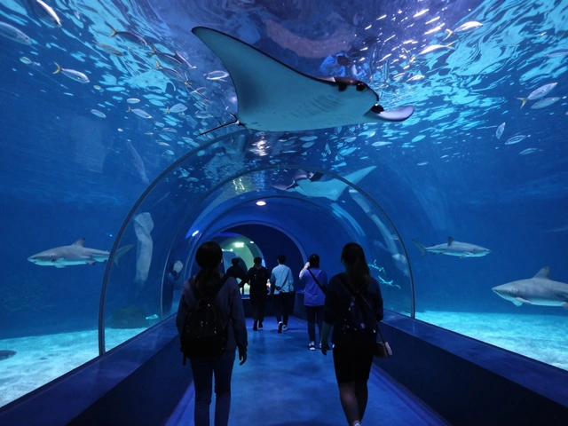 Dubai Aquarium: The Jewel of Dubai's Attractions